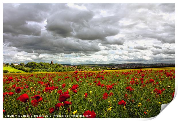 Poppy Summer Showers Print by J Biggadike