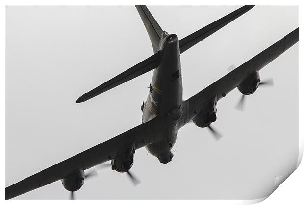 Sally B Print by J Biggadike