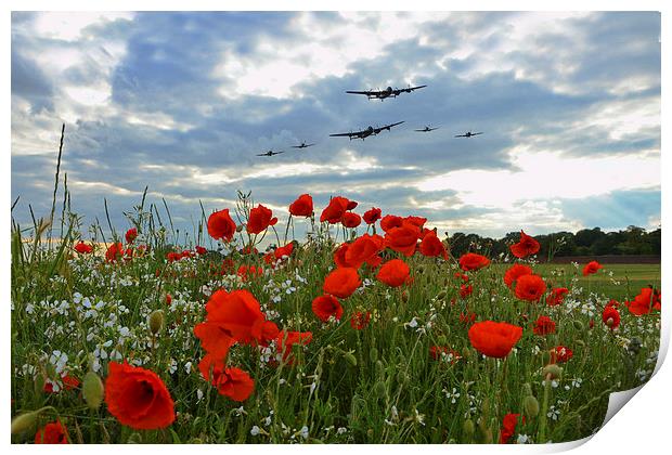 Warbirds Remembrance  Print by J Biggadike