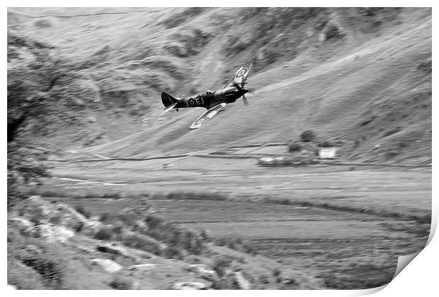 Spitfire In The Weeds - Mono  Print by J Biggadike