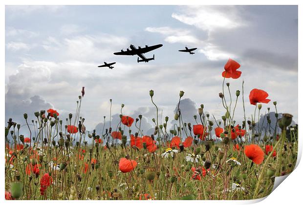 BBMF Over The Poppies Print by J Biggadike