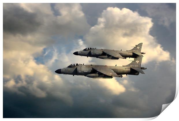 Sea Harriers Print by J Biggadike
