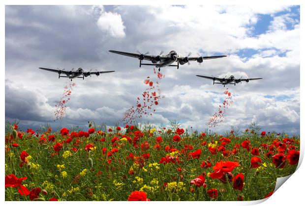 Lancaster Remembrance - Poppy Drop Print by J Biggadike