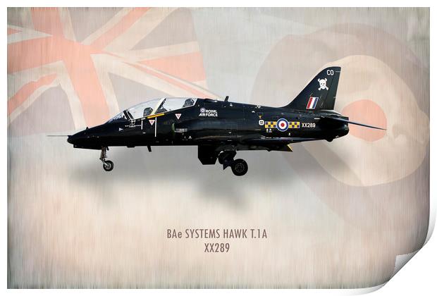 RAF Hawk T.1A XX289 Print by J Biggadike