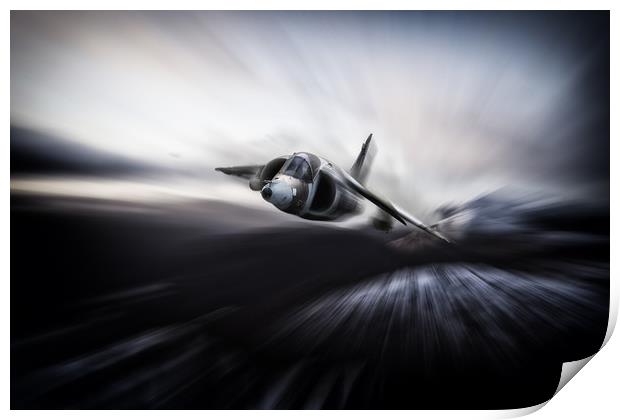 Winter Harrier Print by J Biggadike