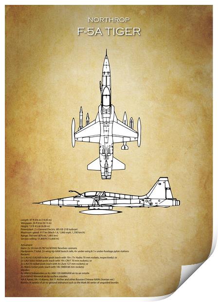 F-5a Tiger Print by J Biggadike
