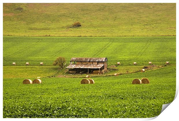 Farmland Scene. Print by Matthew Bates