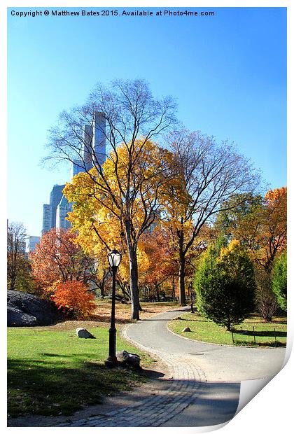 Autumn in Central Park Print by Matthew Bates