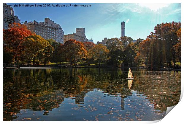 Central Park pond Print by Matthew Bates