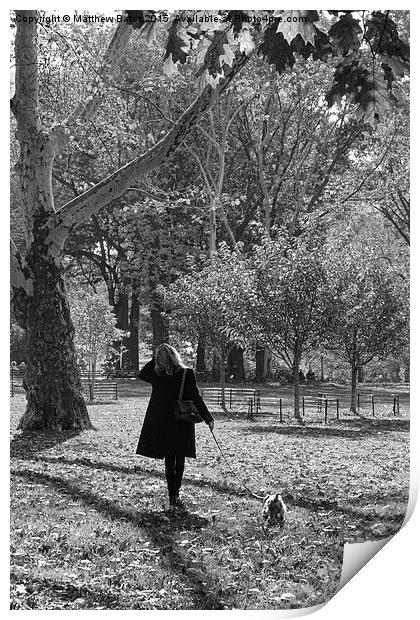 Dog walking Print by Matthew Bates