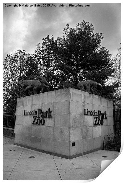 Lincoln Park Zoo Print by Matthew Bates