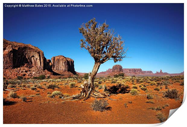  Monument Valley Tree Print by Matthew Bates