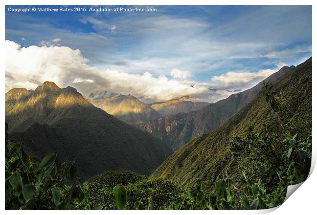 Andean mountain forest Print by Matthew Bates
