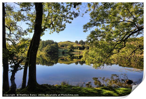 Loughrigg Tarn under the trees Print by Matthew Bates