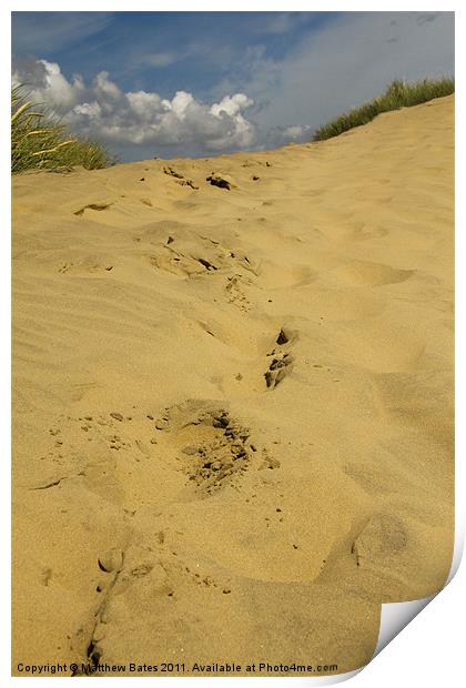 Camber Dunes Print by Matthew Bates