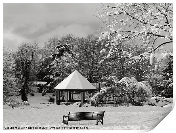 Winter Wonderland Print by John Biggadike