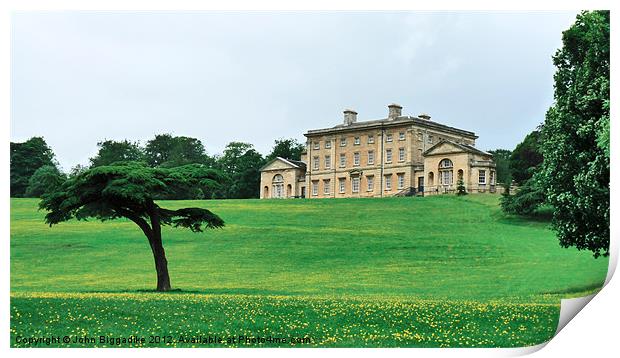 Cusworth Hall 2 Print by John Biggadike