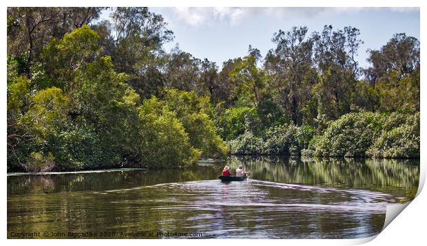 The Australian Everglades Print by John Biggadike