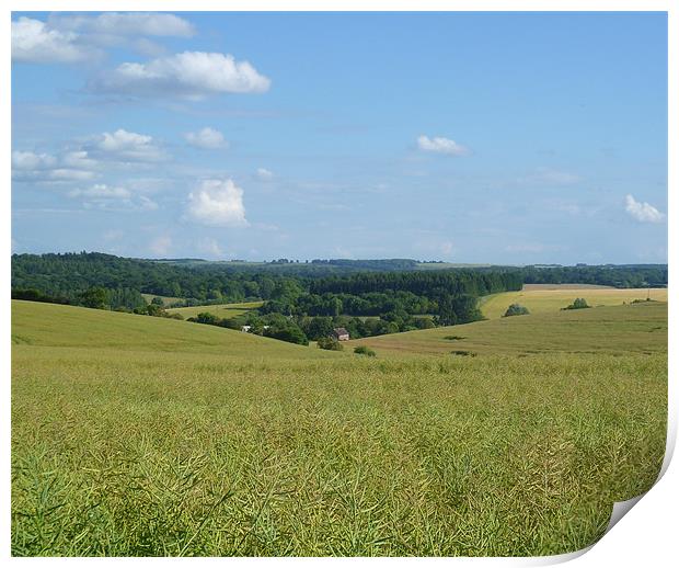 View over fields nr Froxfield Print by marie crisp