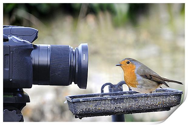 Watch the Birdie Print by Lee Morley