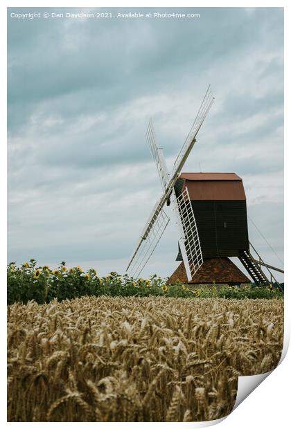 Stevington Windmill Print by Dan Davidson
