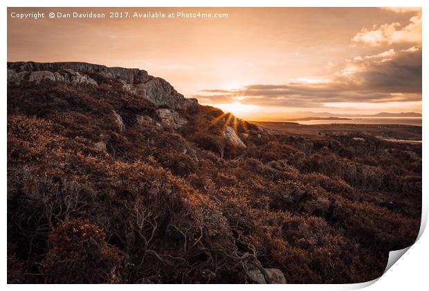 Sunrise on Anglesey Print by Dan Davidson