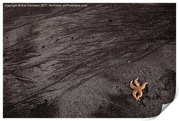Starfish mumbles beach Print by Dan Davidson