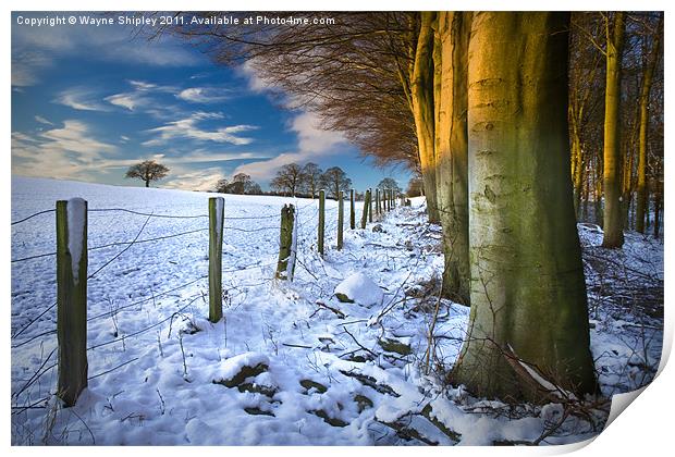 Snowfall Sunrise Print by Wayne Shipley