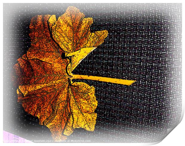 Leaf Fall Print by Heather Goodwin