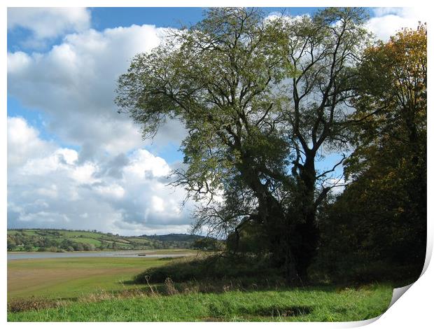 Blagdon Lakes Shoreline. Print by Heather Goodwin