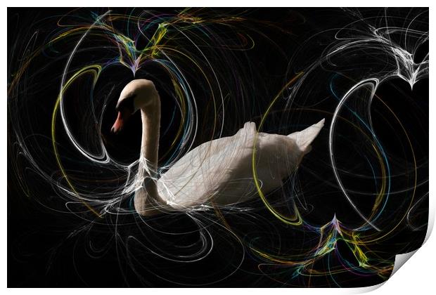 White Swan Over Smokey Waters. Print by Heather Goodwin