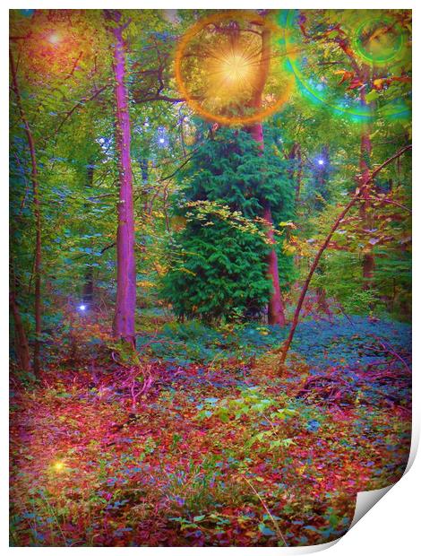 Forest Carnival of Colours. Print by Heather Goodwin