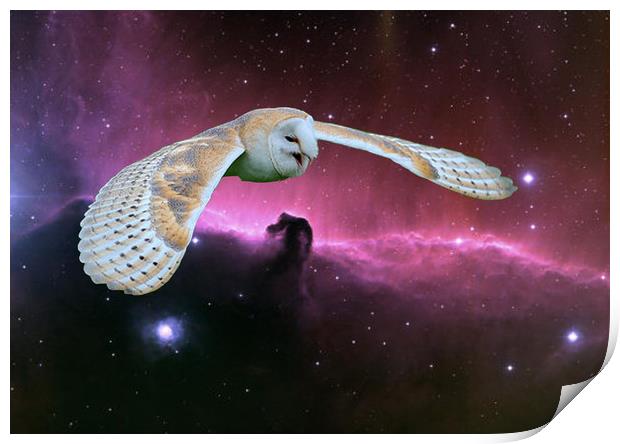 Barn Owl v. Horse head Nebula. Print by Heather Goodwin