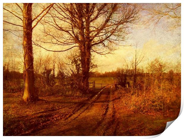 Homestead Farm Trackway. Print by Heather Goodwin