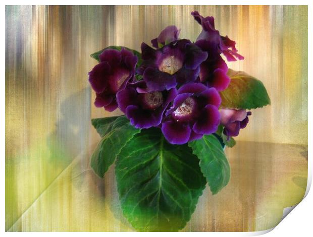 Sweet Violets. Print by Heather Goodwin