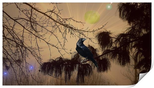  Night Call of the Raven. Print by Heather Goodwin