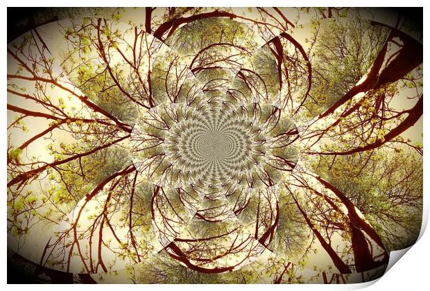 Winter Tree Kaleidoscope.  Print by Heather Goodwin