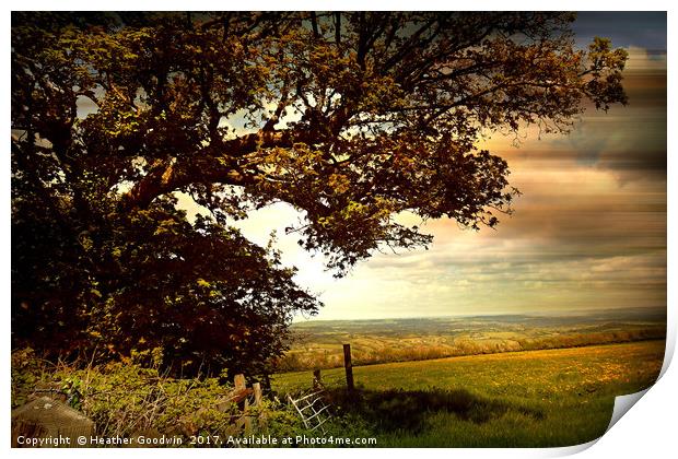 Blagdon Top  Field. Print by Heather Goodwin