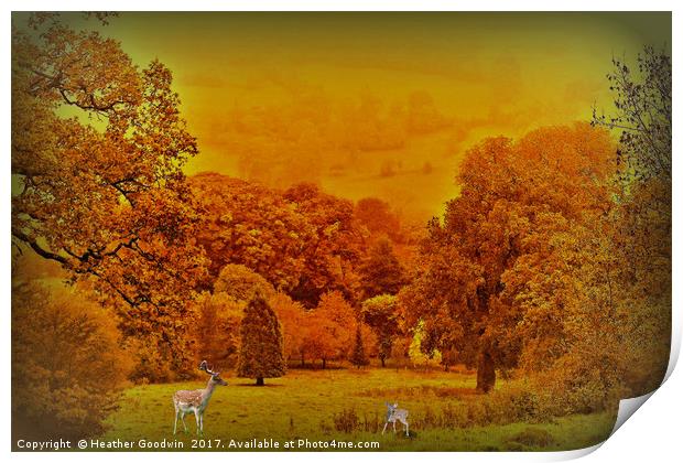 View Across the Park. Print by Heather Goodwin