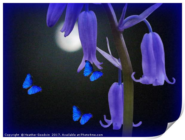 Bluebells and Butterflies Print by Heather Goodwin