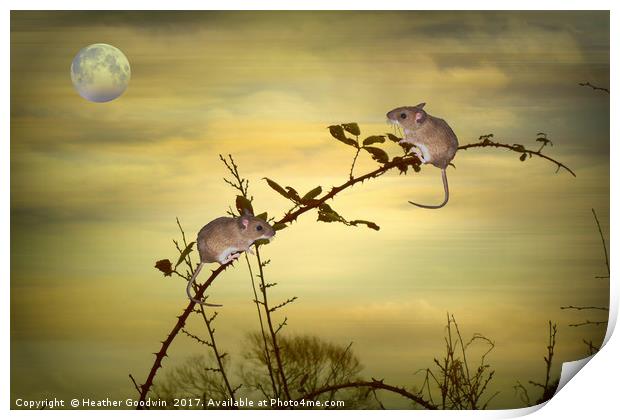 The Two Small Mice. Print by Heather Goodwin