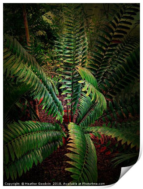Tropical Leaves Print by Heather Goodwin