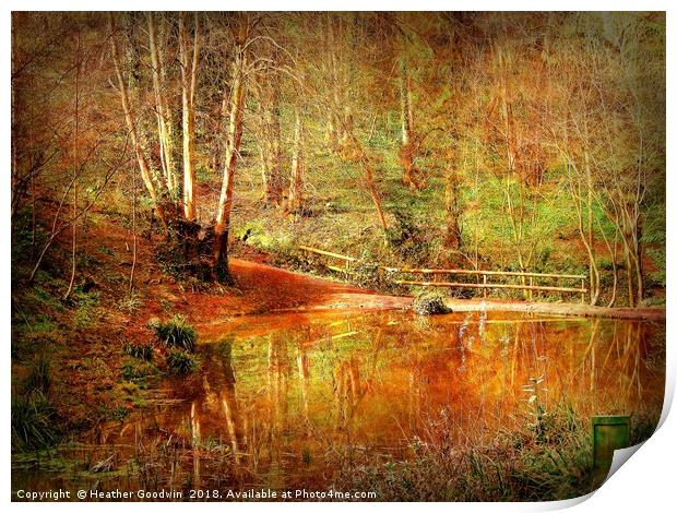 Woodland Lakeside Print by Heather Goodwin
