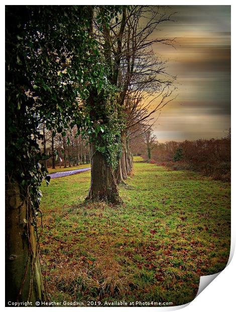 Tree Lined Walk Print by Heather Goodwin