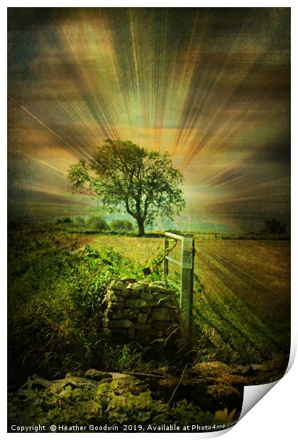 Jacob's Field Print by Heather Goodwin