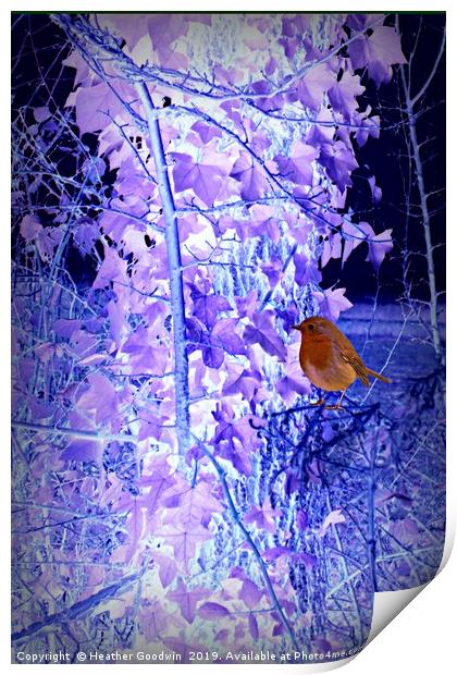 A Chilly Day for Robin Print by Heather Goodwin