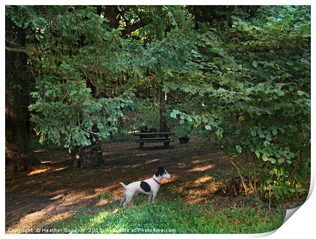 The Picnic Spot Print by Heather Goodwin