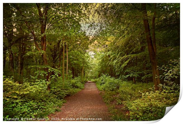 Quiet Paths Print by Heather Goodwin