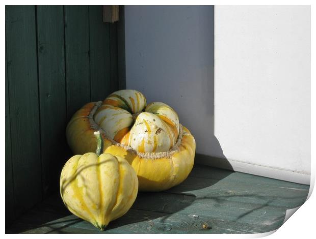 Glorious Gourds Print by Heather Goodwin
