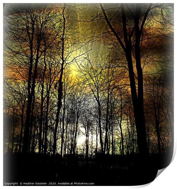 Nightfall Print by Heather Goodwin